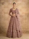 Alizeh 1084 Colours Butterfly Net Designer Lehenga Choli Wholesale Online
